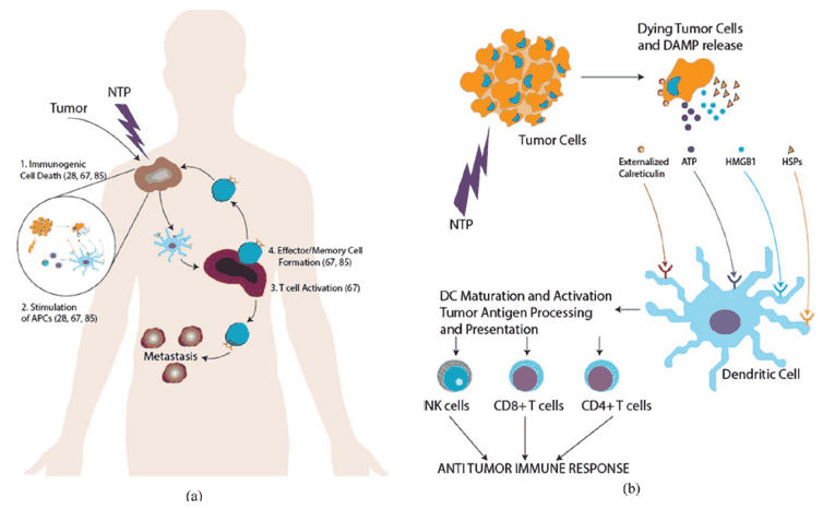 Cancer healing